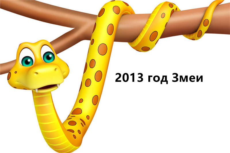 2013 год Змеи